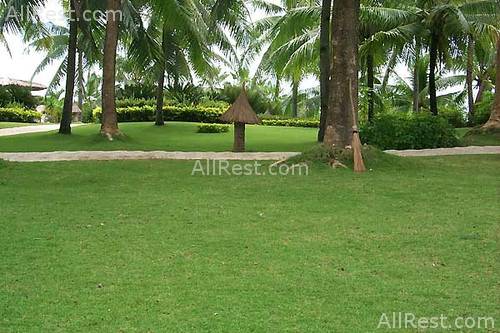 Alegre Beach Resort 10